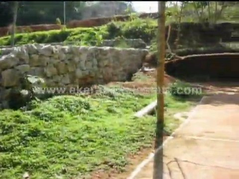 Thiruvananthapuram Properties - Land for Sale at Pidaram Thachottukavu, Trivandrum
