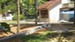 properties in kerala - Land for Sale at Kariavattom, Trivandrum