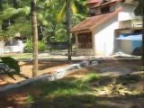 properties in kerala - Land for Sale at Kariavattom, Trivandrum