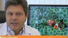 Pr Alain Gervaix. Les urgences médicales chez l'enfant.