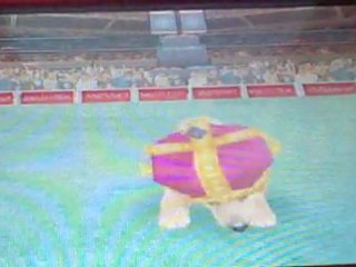 The plaster for games-Nintendogs (partie 2)