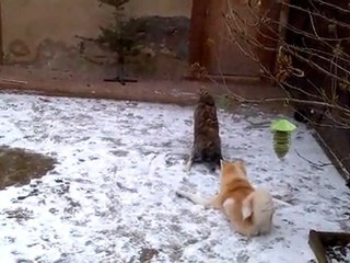 VID-20120214-00003
