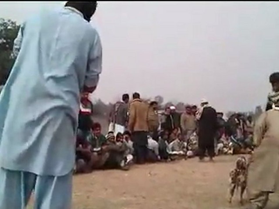 Pagal Aseel Part-2-2 (Aamir Khan's Aseel)