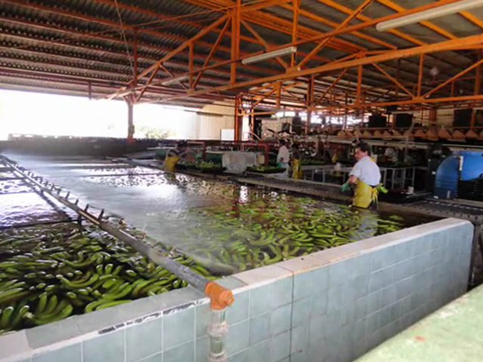 Croisière Marketing International