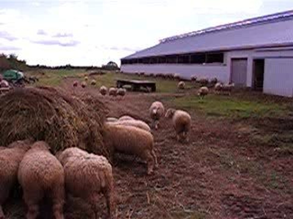 Visite Bergerie DesNeiges