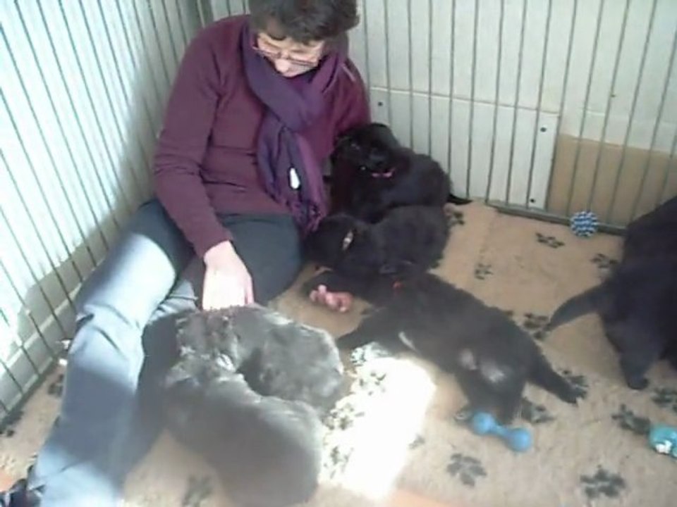 10 février 2012 : 4 semaines et demi