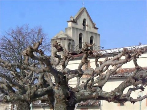 9 souris, 6 biches, 1 Roi