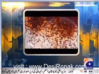 Geo 9PM News - 10th february 2012 part 5