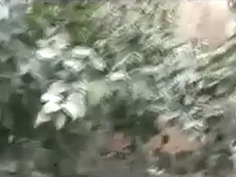 فري برس حمص حي عشيرة آثار القصف العنيف 8 2 2012