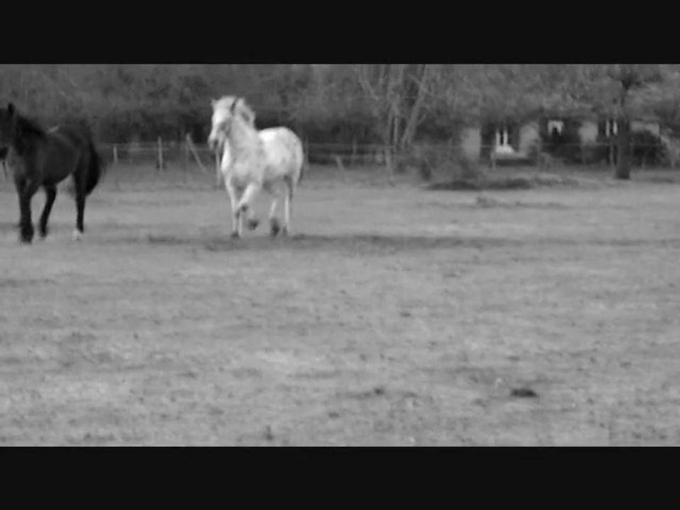 Loulou ( version finale )