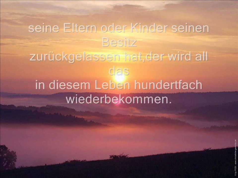 Film Die Gefahr des Reichtums.