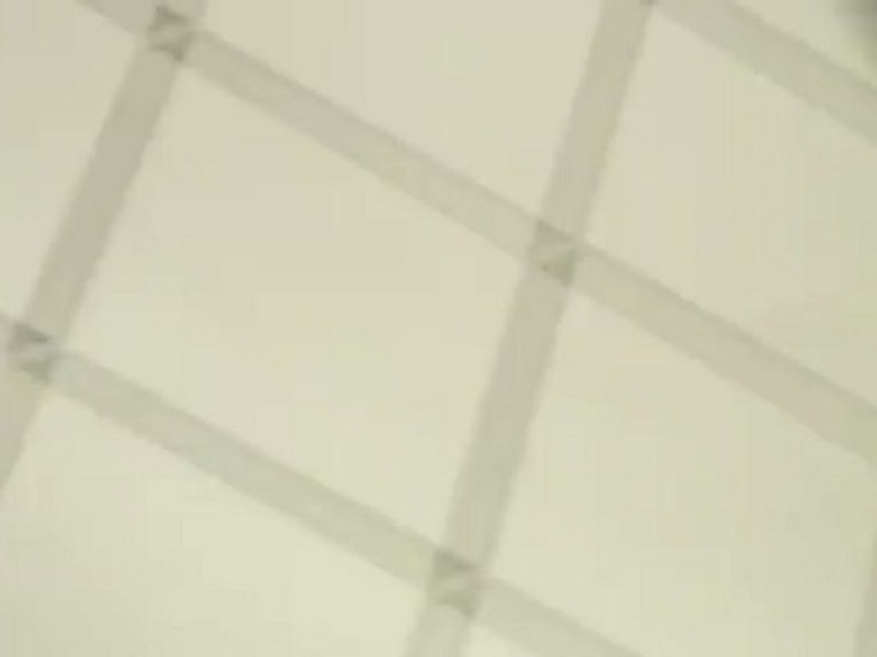 251 DEDICASSES NOYELLES GODAULT