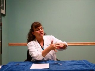 Dental Care For Dogs and Cats - Animal Hospital Lutz FL