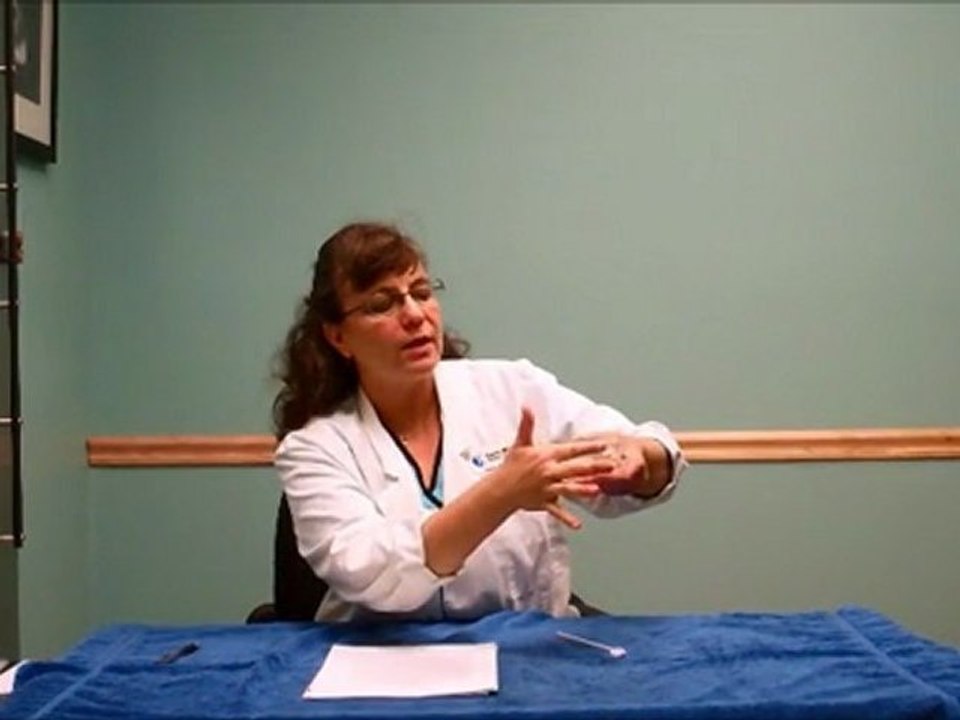 Dental Care For Dogs and Cats - Animal Hospital Lutz FL