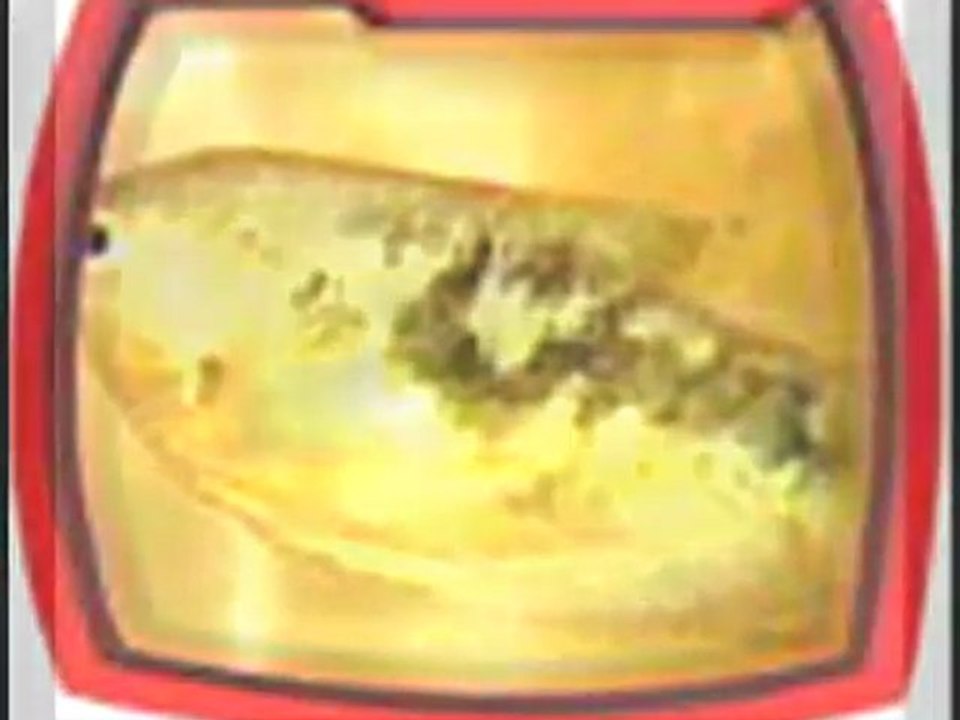 Optik Dekorasyon,salihmobilya,izmir,Ibretlik resimler(allah'in varligina inamayan iyi izlesin!) -salihmobilya,izmir,Optik Dekorasyon