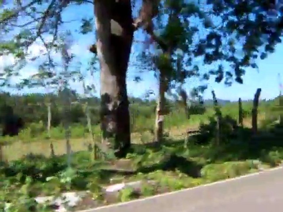 Descending From The Mountains Towards Puerto Plata City, Dominican Republic