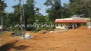 Kollam Real Estate - Land for Sale at Pattazhi Kottarakkara, Kollam