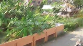 Thrissur Real Estate - Commercial Space for Sale at Chembukavu, Thrissur