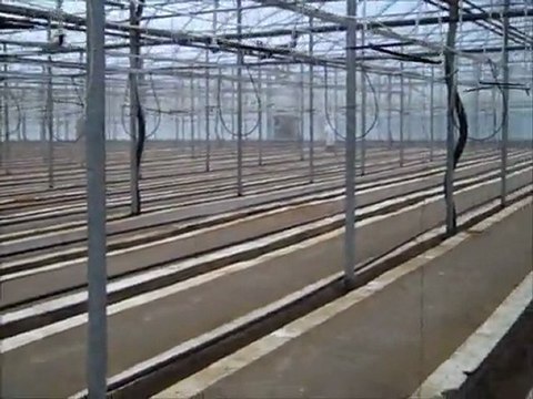 Grow Tomatoes: greenhouse preparation.