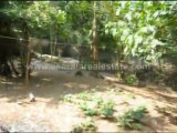 properties in kerala - Land for Sale at Kariavattom, Trivandrum