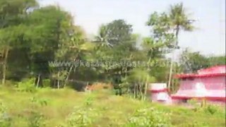 Pathanamthitta Real Estate Classifieds - Land for Sale at Mezhuveli, Pathanamthitta