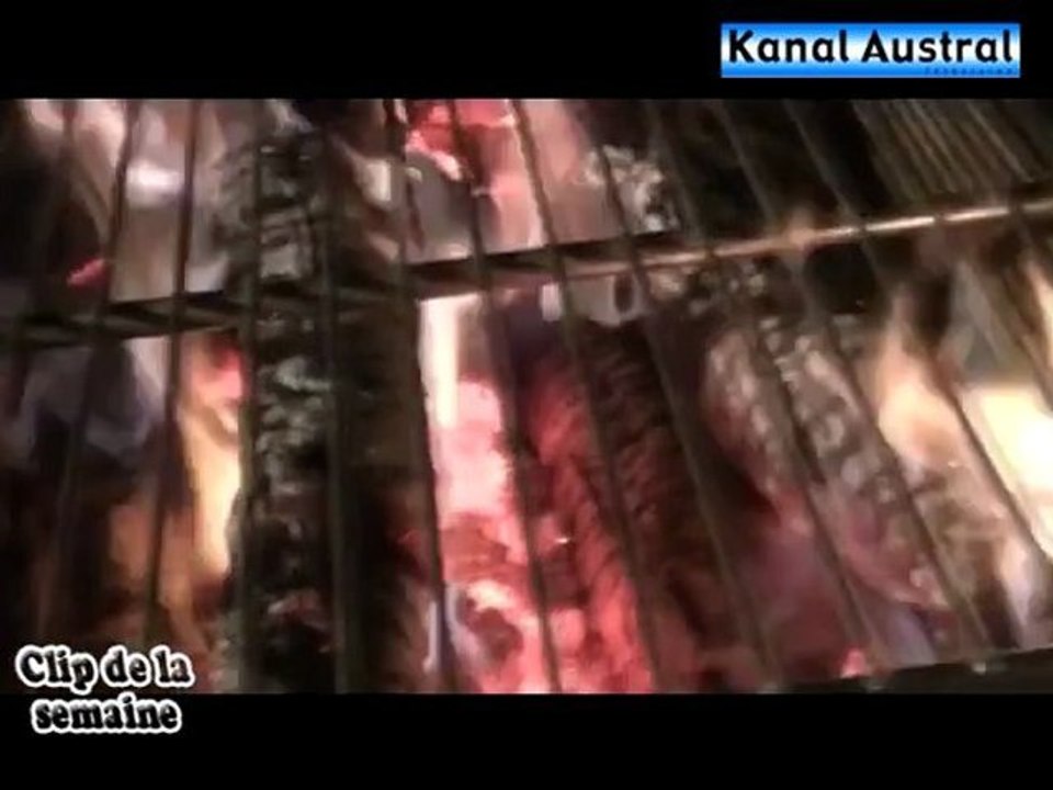 RADIA SEGA - Alim do fé (île de la Réunion) : Clip de la semaine sur Kanal Austral