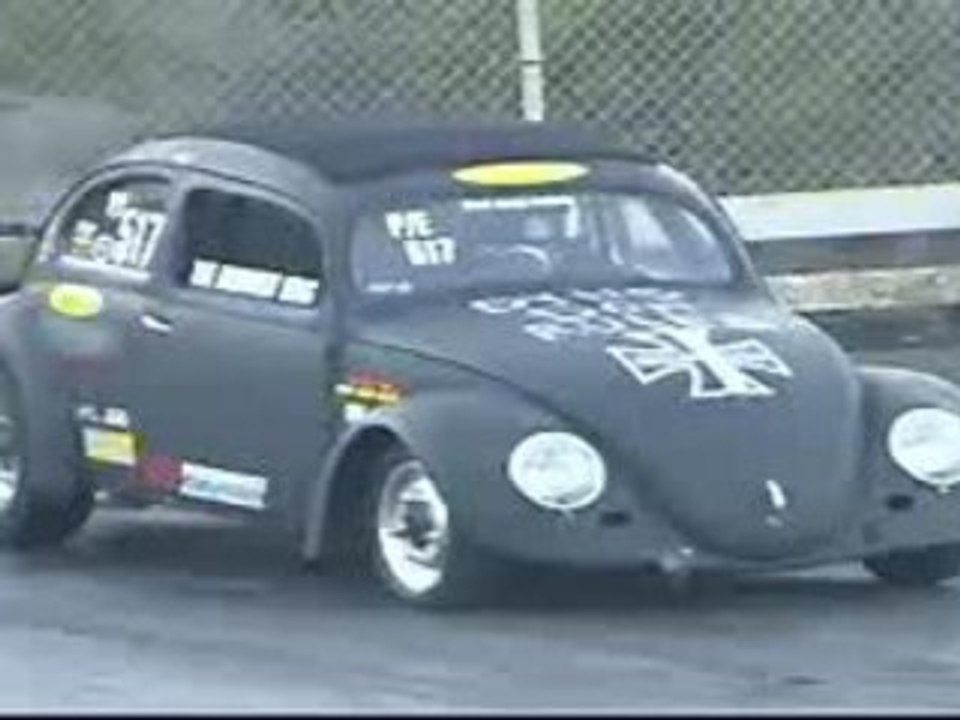 fusca animal