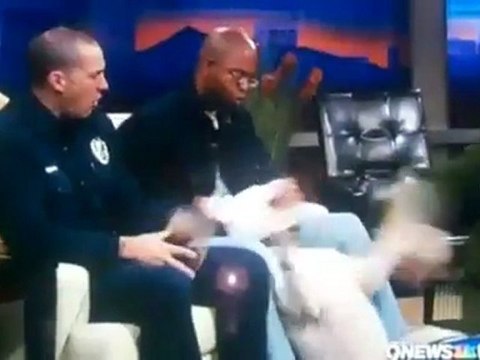 Un dogue argentin attaque le visage d’une présentatrice