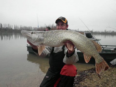 pêche du brochet aux leurres en côte d'or.