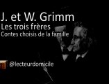 Jacob et Wilhelm Grimm - Les trois frères