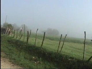 dağların başında koyun güdüyoruz