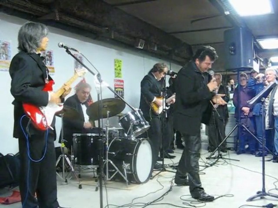 Les Chats sauvages - Par Chris Agullo & Chats du Rock (14)