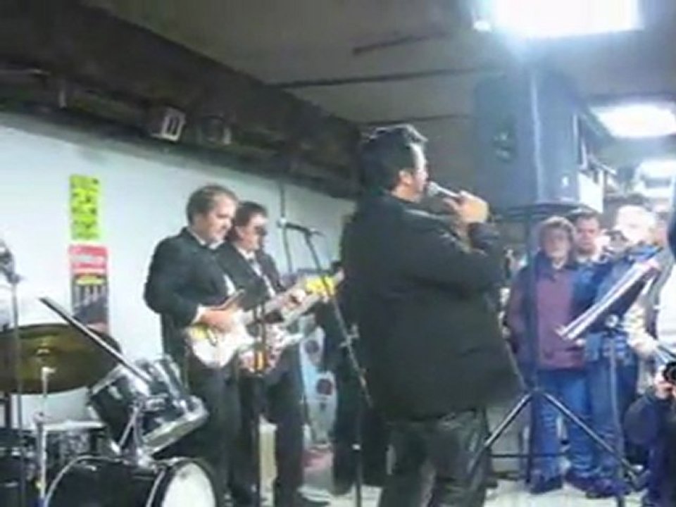 Les Chats sauvages - Par Chris Agullo & Chats du Rock (17)