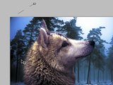 Formation Photoshop 05 par thierry Dambermont - tutorial en francais - Le masque de fusion et la transformation manuelle (58 min)