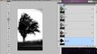 Formation Photoshop 08a par thierry Dambermont - tutorial en francais - Supprimer le fond derrière des objets complexes comme des arbres ou des cheveux (12 min + 28 min + 12 min)