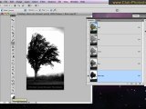 Formation Photoshop 08a par thierry Dambermont - tutorial en francais - Supprimer le fond derrière 