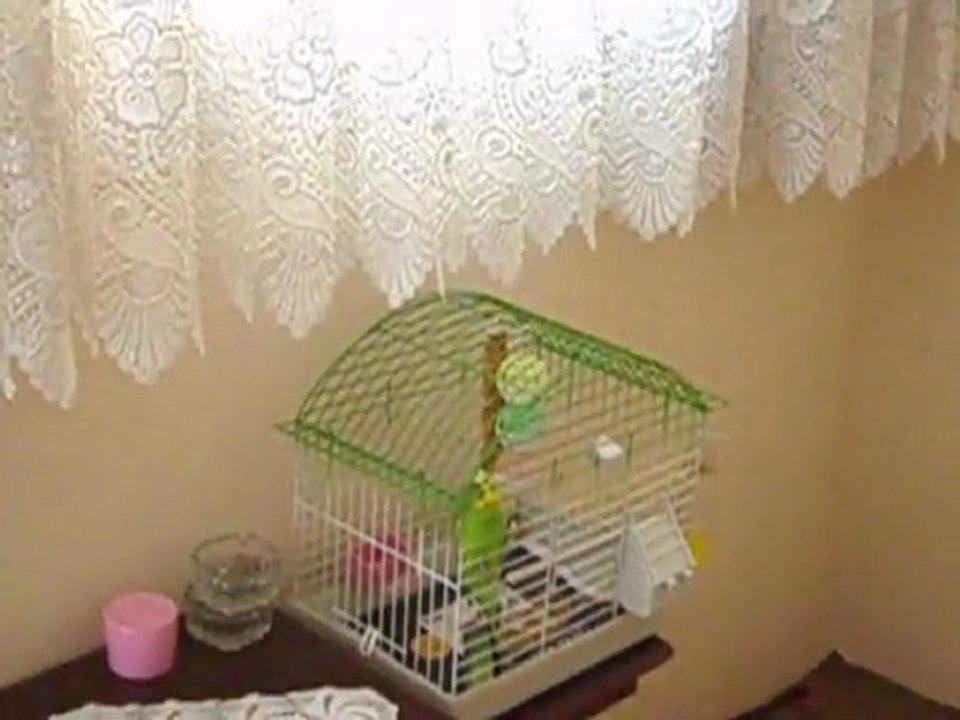 Çapkıın Bıdııkk. :D