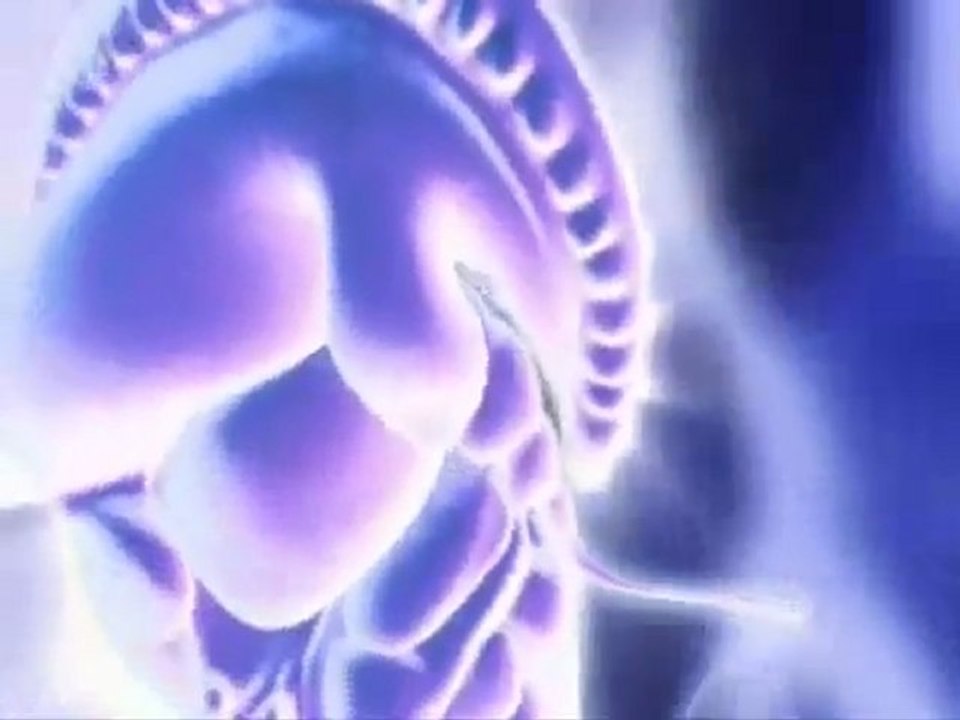 Evolution I Wasserwesen 1 5 Doku