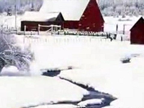 KÖPRÜDEN GEÇTİ GELİN DILOYLOY