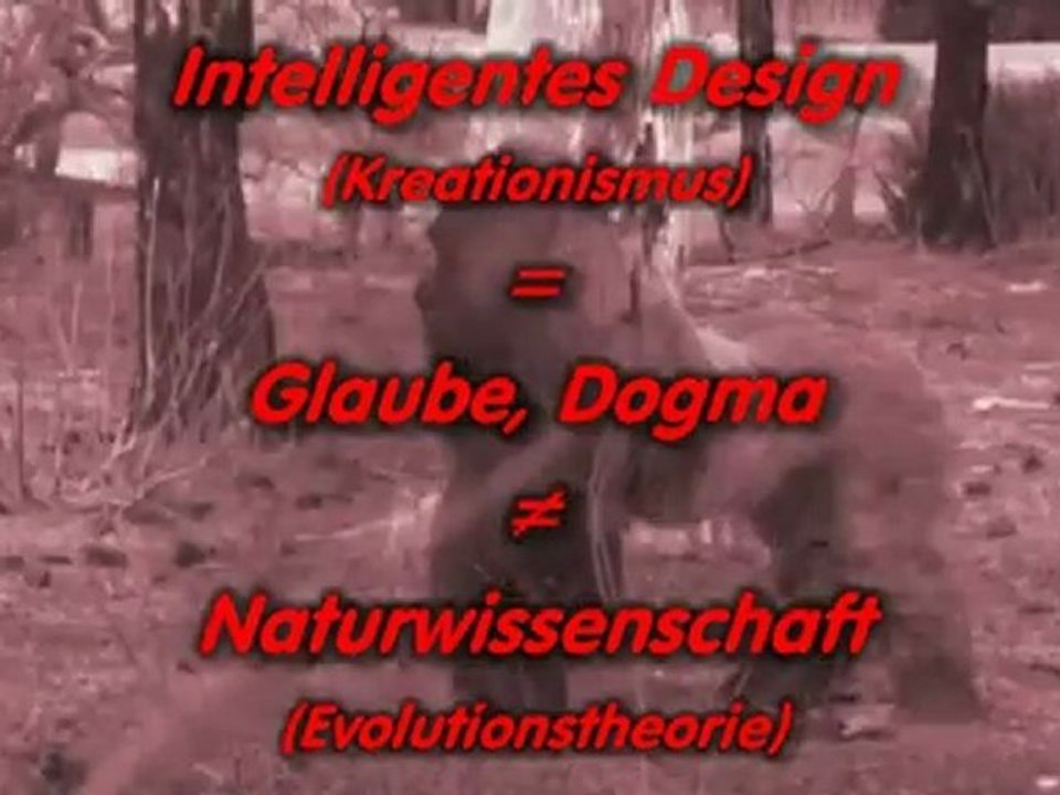 Evolution (1)_ Fakten und Beweise (Einführung)