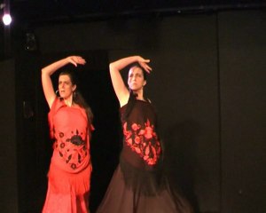 Présentation site Le Chemin du Duende.wmv