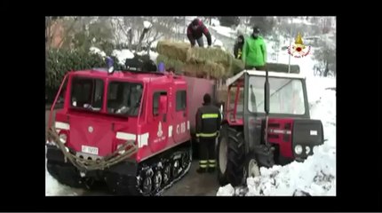 Download Video: L'Aquila - Emergenza neve - VVF San Vincenzo Valle Roveto Marsica Avezzano