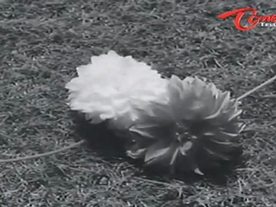 Mangalya Balam Songs | Vaadina Poole | ANR | Savitri | Telugu Old Songs