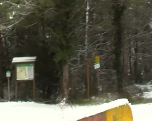 neve   02 febbraio 2012