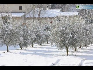 Auriol sous la neige - 11 février 2012 [diaporama] - Auriol Ensemble