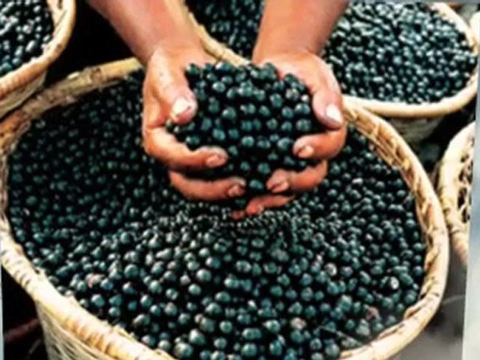 The Top 5 Weight Loss Foods