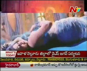 BOX Office -  Latest Tollywood  Movies News - 01