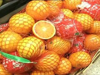 aperture il comune ricorre al tar