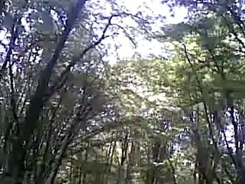 Бой в лесу.2011 кадырята получили под зад!