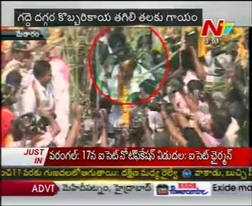 Coconut hits KCR head, injuried @ medaram jaatara